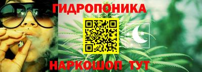 молекула духа Обь