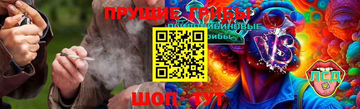 Галлюциногенные грибы Psilocybe Сланцы